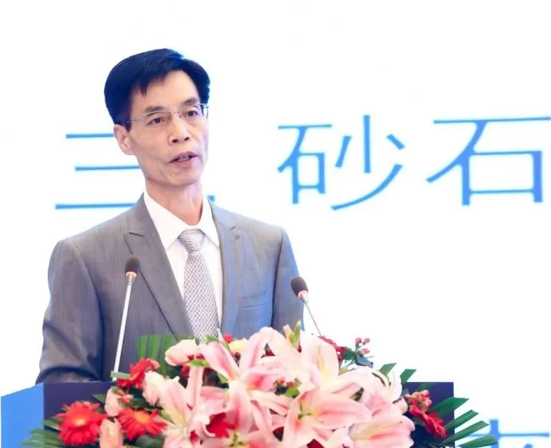 主旨報告 | 胡幼奕以國際化視角，提出固廢綜合利用和生態(tài)環(huán)境修復(fù)新思路